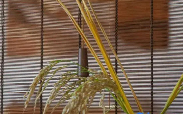 Guyuan Holiday Hostel