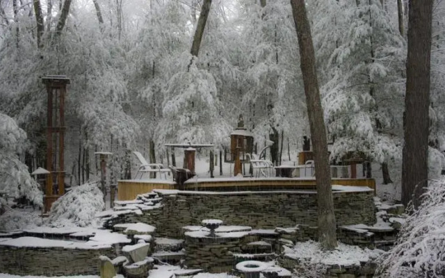 Art Cabin in the Woods