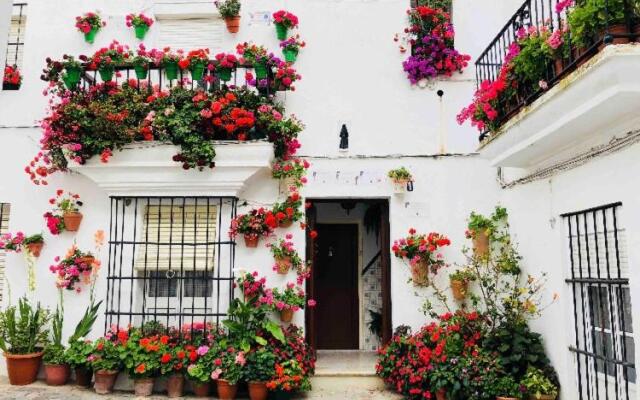 Beautiful studio in Vejer