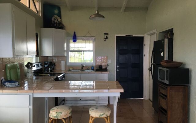 Bananaquit House
