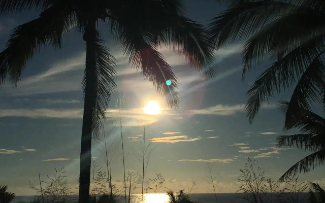 Coconut Beach Homestay