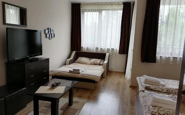 Borovets Gardens Studio D36