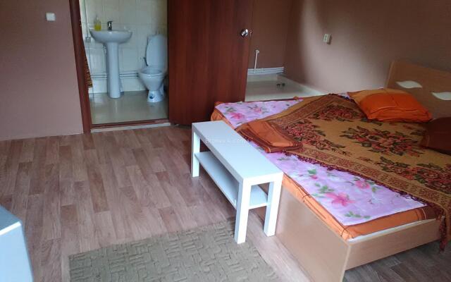 Отель Стриж