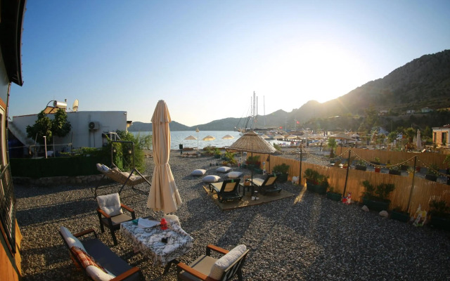 Tiny House Echino söğüt