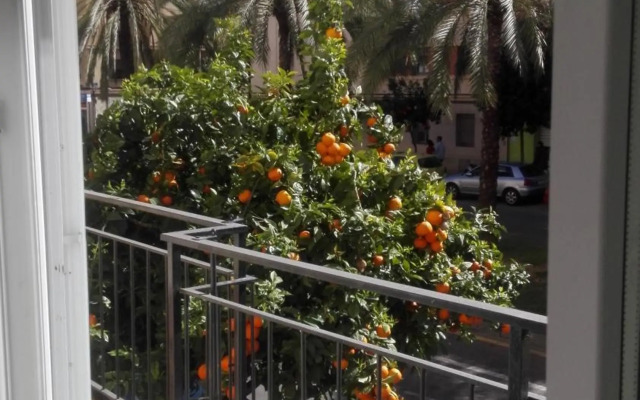 Apartamento Jardín de Ayora