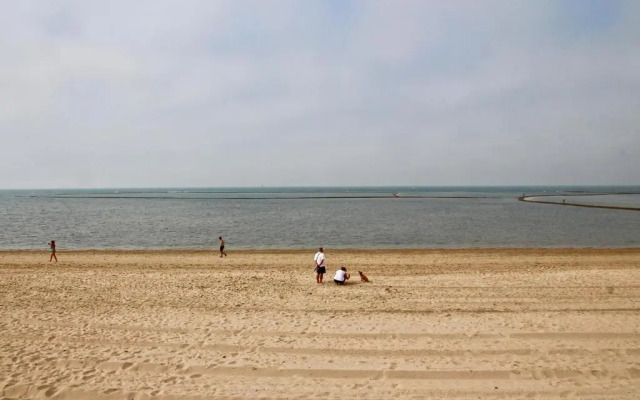 Apartamento Playa y Bosque