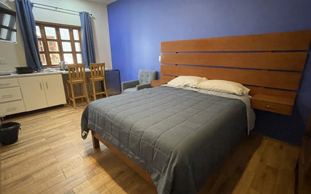 Casa el Arte de Frida