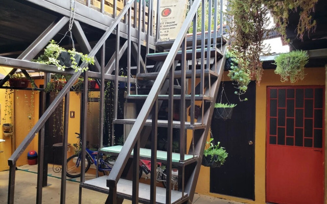 Parrot House