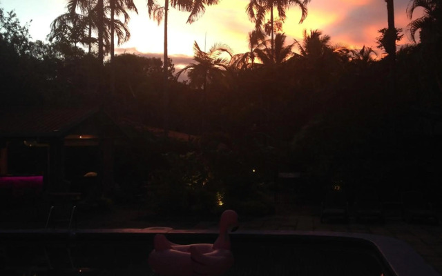 Pink Flamingo Resort