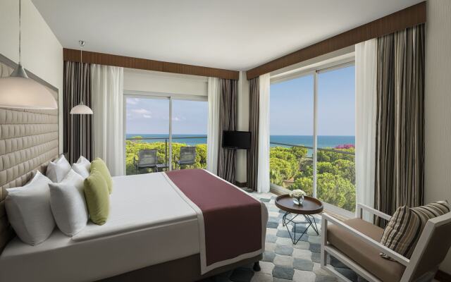 Курорт Papillon Ayscha Resort & Spa - All Inclusive