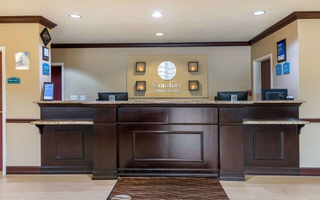 Comfort Inn & Suites St. Pete - Clearwater International Airport