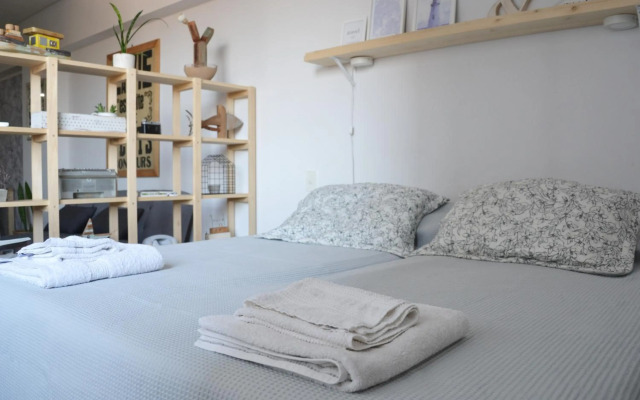 Luminous and confy mono apart