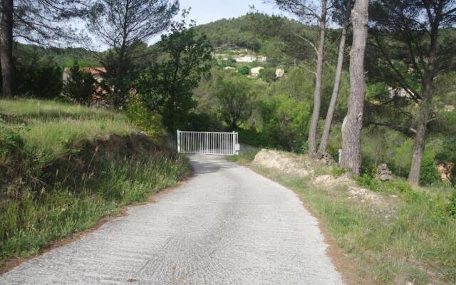 L'Eden sous l'olivier
