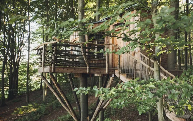 Robins Nest Baumhaushotel