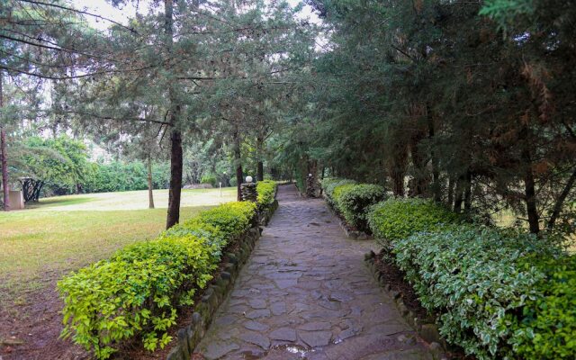 Naivasha Peppercorn Holiday Resort