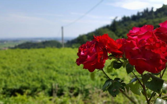 La casetta di Chiara