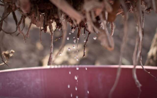 Baleni Cultural Camp