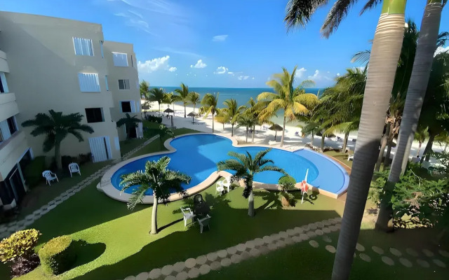 Beachfront and Ocean View Apartment