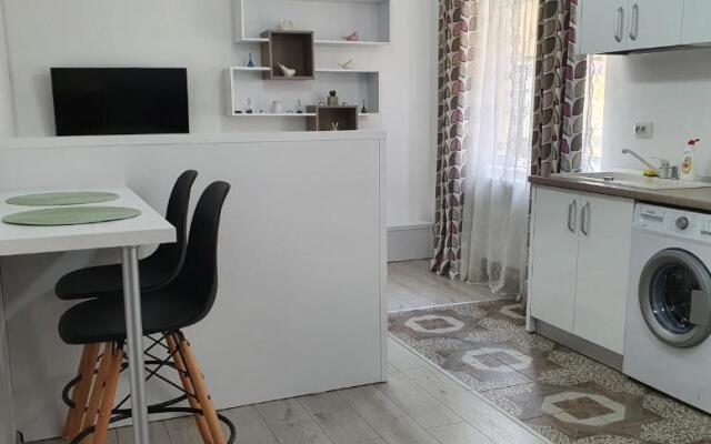 Nehoiu apartament