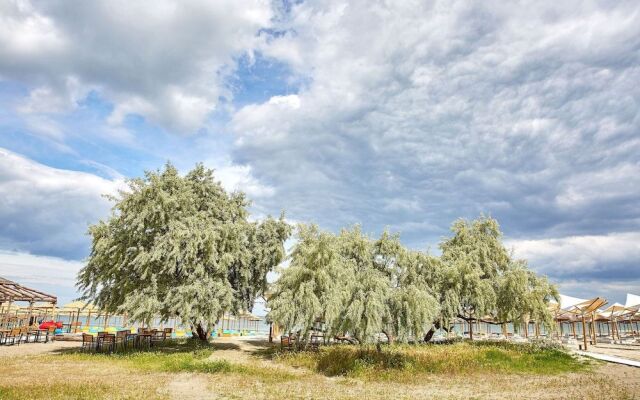 Apartamente Tomis Villa