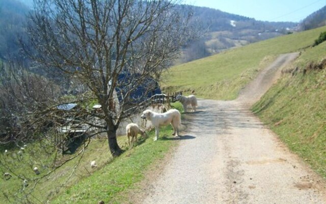 Chalet With 2 Bedrooms in Boutx, With Wonderful Mountain View, Furnished Terrace and Wifi
