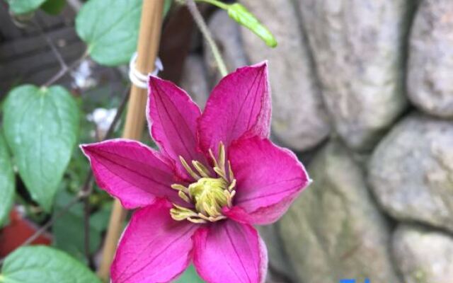 Sansheng Yizhai Hostel