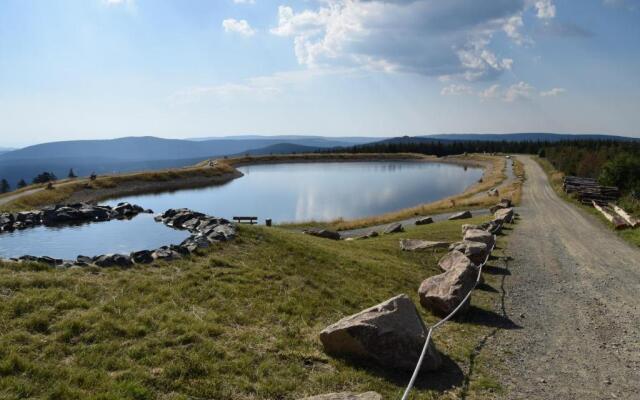Wurmberg Hexe mit Blick auf den Wurmberg