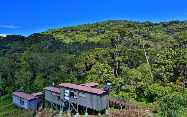The Rainforest Ecolodge