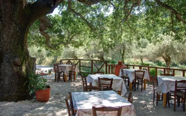 Antartisa B&B