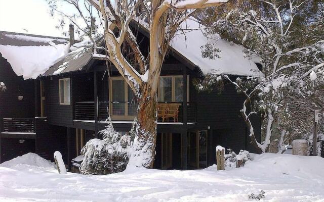Milkwood