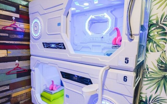 Zzz Sleep Mode Capsule
