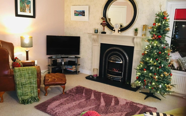 The Little Beech Tree