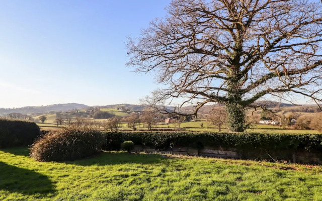 Berwyn View