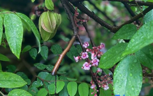 Yuanzhongyuan Leisure Holiday Villa