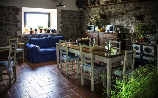 Villa Porcigliano Olive Grove