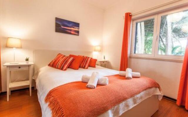 Ocean, Pines and Mountain