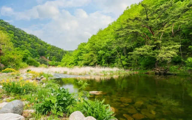 Danyang Eowoolim Pension