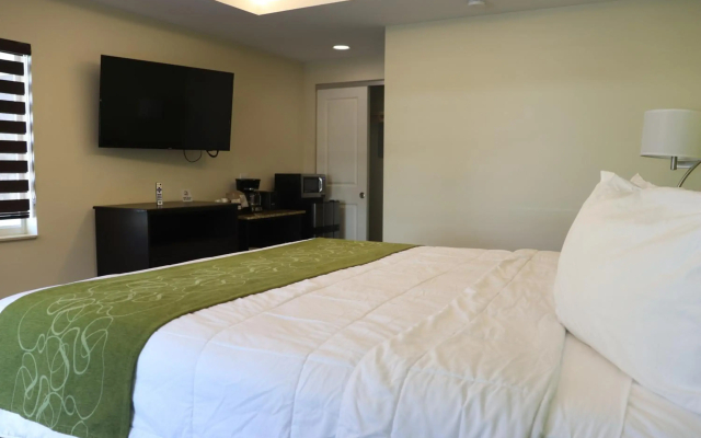 Curtis Inn & Suites