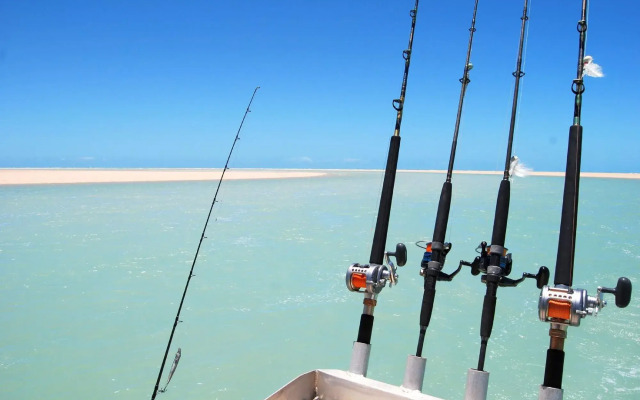 Eco Beach Wilderness Retreat