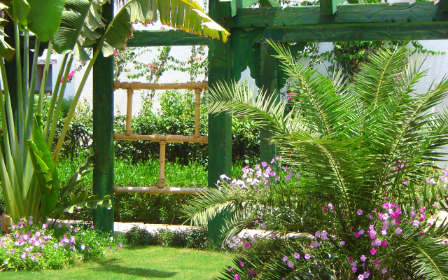 DELTA SHARM RESORT ,Official Web, DELTA RENT, Sharm El Sheikh, South Sinai, Egypt