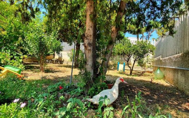 Villa nella collina Francavillese