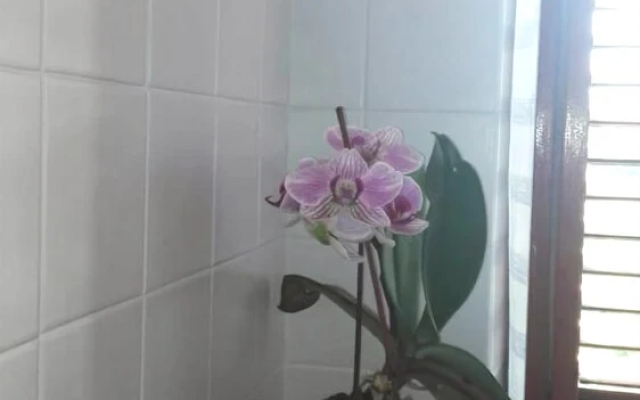 B&B Ondamarina