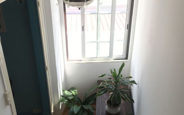 Casa das Netas