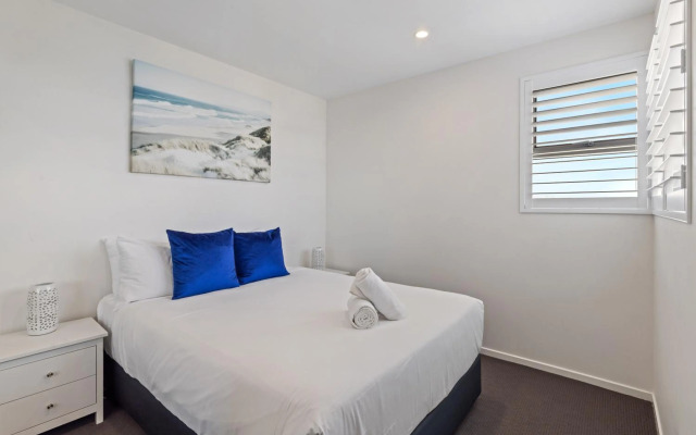 Verve on Cotton Tree