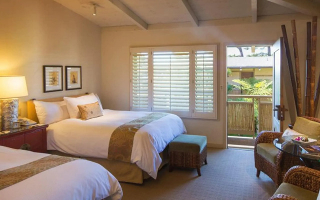 Tradewinds Carmel