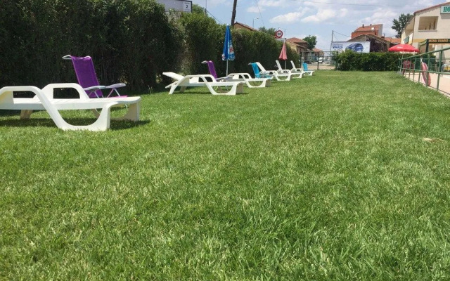 Hostal El Delfin Verde