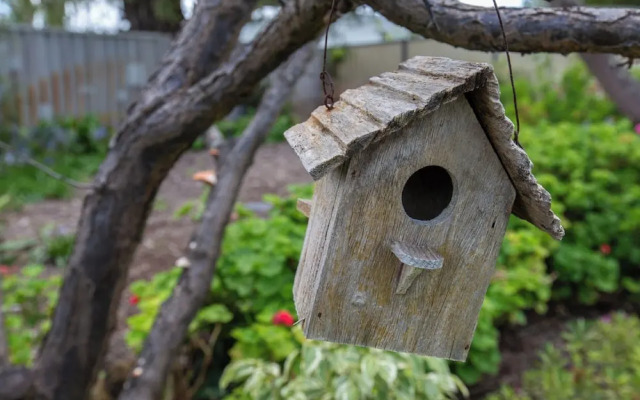 Relax and Unwind at Otters Retreat