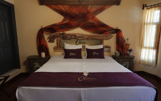 Olivia 1845 Guest House