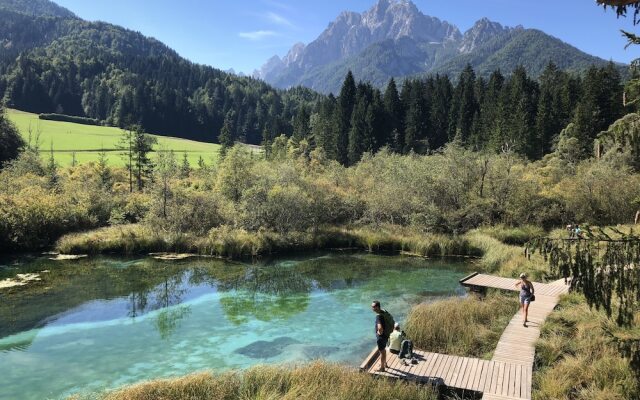 House Planica
