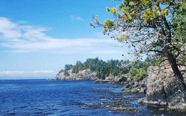 Seagull Studio Vacation Guest Suite